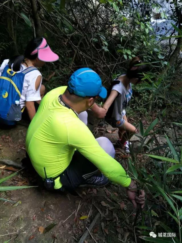 快上車，小編帶你去巡山