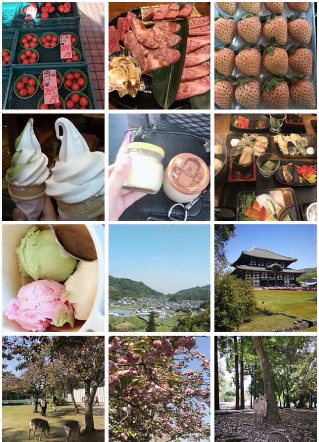 不負春色不負花—城茗國際日本櫻花之旅